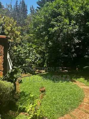 Riara Road Lavington Plot