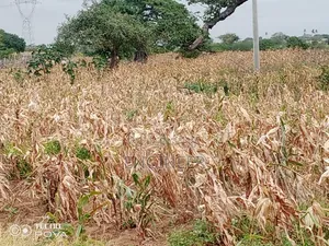 Eneo la Eka 23 kwa Uuzaji Gongoni, Malindi