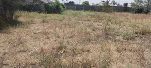 Kitalu cha 1/4 Eka kwa Uuzaji Ruai (100x100)