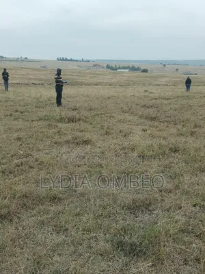 Kiwanja Kinauzwa Kitengela