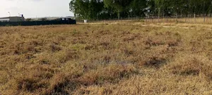Ardhi Bora Inauzwa Kisaju