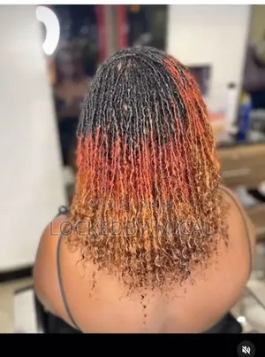 Sisterlocks with Human Hair Extensions