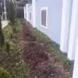 House Keeper - Sylvia - 3