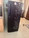 Haier Refrigerator - Lazy Daisy - 2
