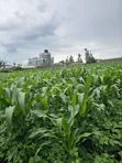 Land for Sale in Mwariki B - 1