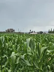 Land for Sale in Mwariki B - 2
