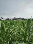 Land for Sale in Mwariki B - 4