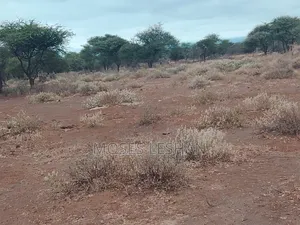 Prime 60 Acres Land for Sale in Amboseli