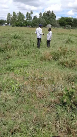 Vipande Bora Ngong Vinauzwa - Eka 1