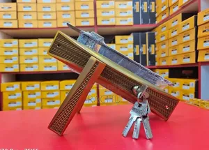 Main Door Lock