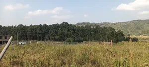 2 Acres Land in Ngoirubi Thigio