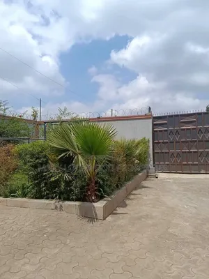 Maisonette ya Vyumba 4 Inapangishwa Tilisi, Muguga