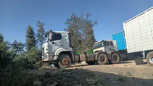 Malori ya Usafirishaji Matrela 40 Ft kwa Huduma