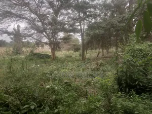 Ekari 2 za Ardhi Zinauzwa Matasia, Ngong