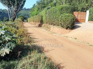 Shamba la Eka 1.5 Mua Hills Liloendelezwa