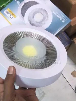 Cob Down Light