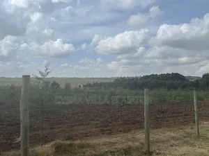 Shamba la Prime kwa Uuzaji - Nanyuki, Likiwa Limegusa Tarmac