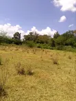 Prime Farmland for Sale - Nanyuki, Touching Tarmac - 2