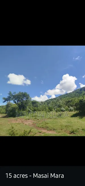 Ardhi Inauzwa Siana, Mwonekano wa Masai Mara