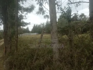 Eneo la Eka 1 Linauzwa Kiserian, Kajiado