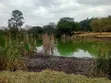 Hekta 7 za Ardhi ya Prime kwa Uuzaji Matuu, Machakos - 2