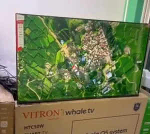 Televisheni ya Whale Inch 50 yenye AV Input na LAN