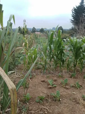 Eka 1 ya Ardhi ya Matumizi Mchanganyiko