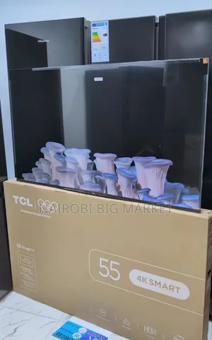 TCL 55-Inch 4K Smart TV with Motion Estimation