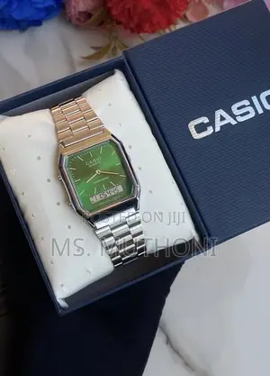 Casio Vintage AQ-800 Watch
