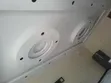 Decorated Gypsum Ceilings - 1