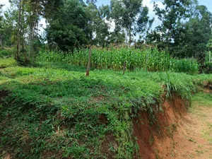 Nusu Eka Ardhi Inauzwa Butsotso Central