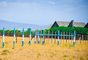 50x100 Plots for Sale in Naivasha-Mirera