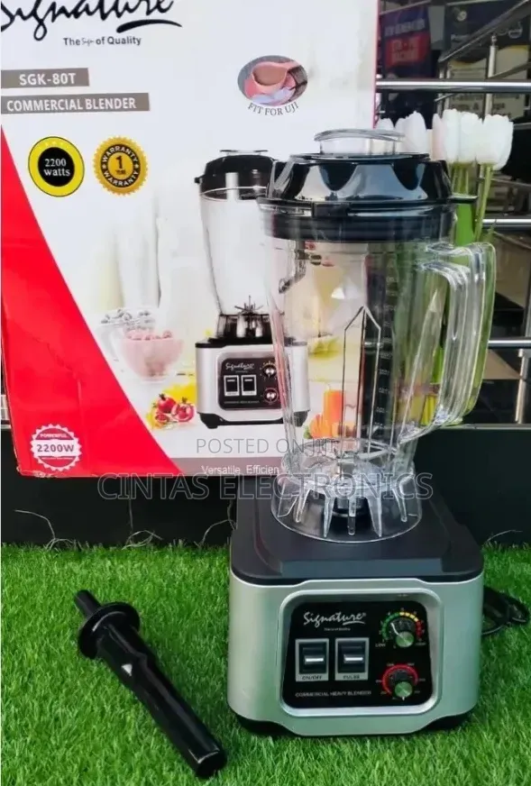 BioloMix Professional Heavy-Duty Blender 2200W - 1