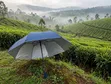 2 Fold Pocket Umbrellas - 3