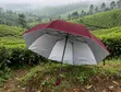 2 Fold Pocket Umbrellas - 4