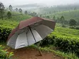 2 Fold Pocket Umbrellas - 5