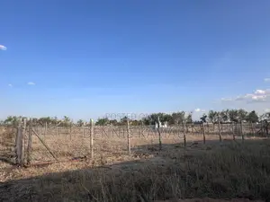 50x100 Plot Juja Farm