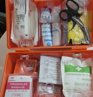 Professional First Aid Kit kwa Nyumbani