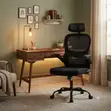 SSF Fabric Orthopedic Office Director Chairs - Black - 4