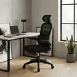 SSF Fabric Orthopedic Office Director Chairs - Black - 5