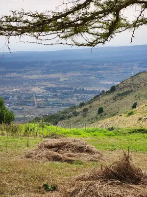 Kiwanja Bora cha Makazi Robo Eka Ngong-Lemiso