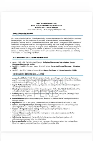 Freelance Accountant & Data Entry Specialist