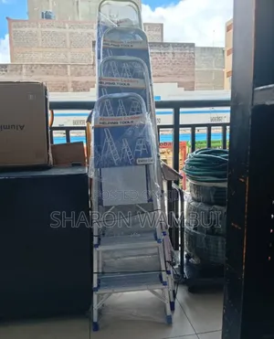 Ngazi Mpya Bora ya Aluminium Hatua 6