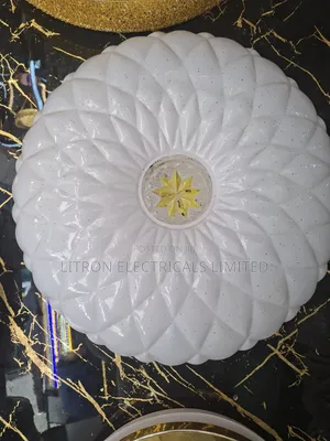 Circular LED Ceiling Light