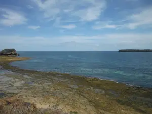 Coral Land in Shimoni Facing Wasini Island
