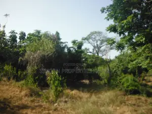 0.25 Acre Plot in Shimoni Overlooking Wasini Island