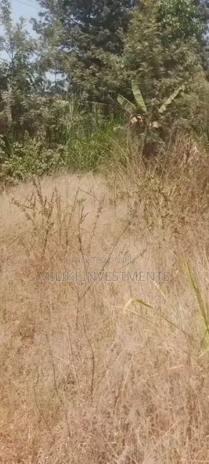 50 by 100 Ft Commercial Plot at Gatundu Mutomo