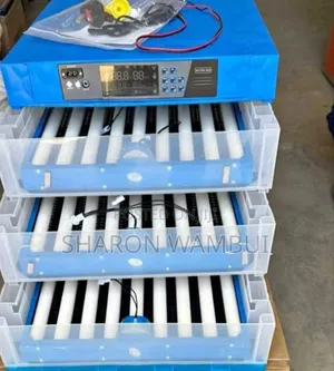 Incubator Mpya Bora ya Mayai 192
