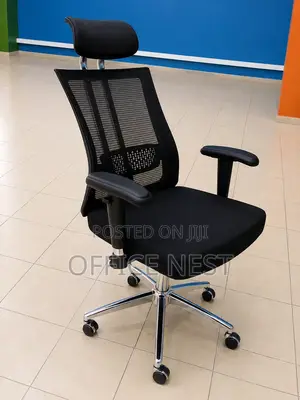 Ergonomic Office Chair with Lumbar Support