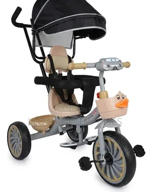 Musical Tricycle with Canopy, Protective Gear, Front Basket